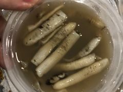 -安海长火土笋冻