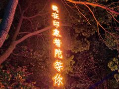 -印象普陀