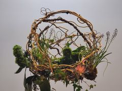 -云溪植物园