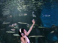 -华夏文旅海洋公园