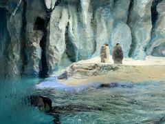 -帝企鹅自助餐厅•儿童岛•真企鹅(长隆企鹅酒店)