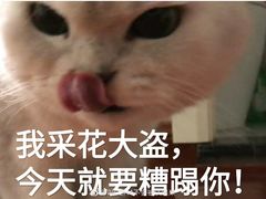 -张关合渣(朱家坳店)