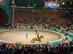 -俄罗斯国家大马戏团