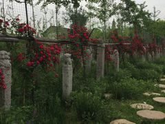 -西安关中民俗艺术博物院