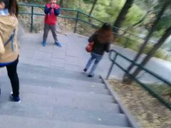android_upload_pic-景山公园