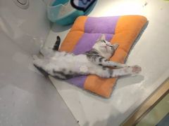 -龟与熊猫宠物公园(南坪店)