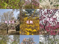 -国家植物园南园