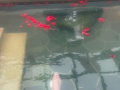 -苏州湾·王焰温泉