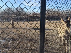 -北京麋鹿生态实验中心