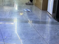 -pd派德宠物中心医院24H急重症·眼科中心·血液透析中心(嵩山北路店)