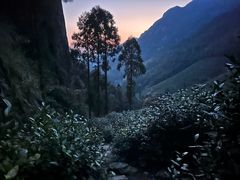 -雁荡山风景名胜区