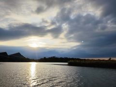 -盐城丹顶鹤湿地生态旅游区