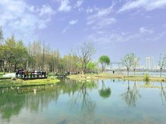 -渤公岛生态公园