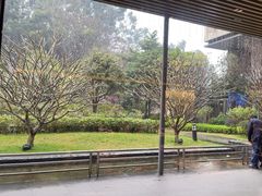 -南宁荔园维景国际酒店·荔园中餐厅