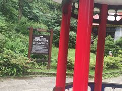 -庐山风景区花径公园