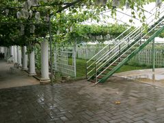 -白鹿原葡萄主题公园