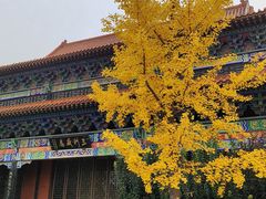 -大悲禅寺
