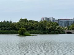 -成都南湖公园