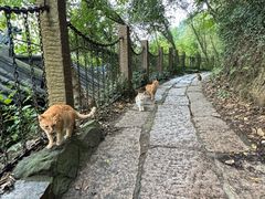 -采石矶景区