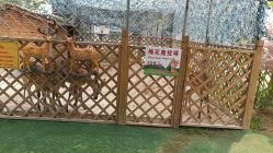 -萌宠亲子动物乐园(槐房万达店)