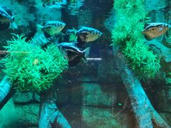 -沈阳海洋探索中心