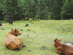-硗碛藏寨·神木垒景区