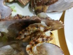 android_upload_pic-日照海滨国家森林公园