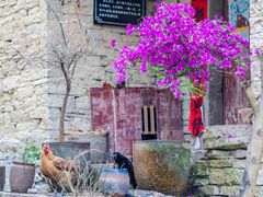 -高荡千年布依古寨旅游景区