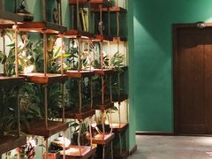 -MintsThai沁泰都市SPA·泰式按摩(公园1903店)