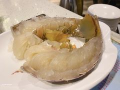 澳洲大龙虾-青蓬蒸汽海鲜·深圳老字号·团建聚会(壹方城店)