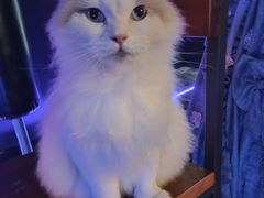 -暗楼·剧本杀·桌游