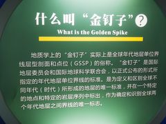 -金钉子远古世界景区