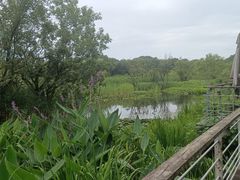 -西湖风景区-江洋畈生态公园