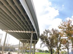 -上海山野camping·户外天幕烧烤·团建拓展营地