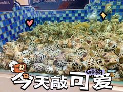 -欧记·龙城港(欣都店)