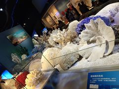 -贝林大翅鲸简餐厅(国家海洋博物馆店)