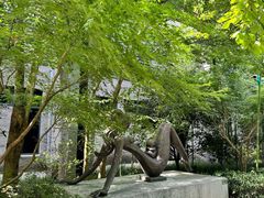 -杭州植物园