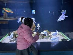 -重庆欢乐海底世界