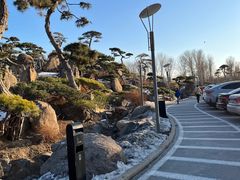 -罗红摄影艺术馆