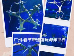 -正佳极地海洋世界