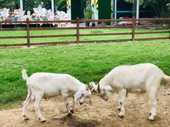 -上膳源有机农场