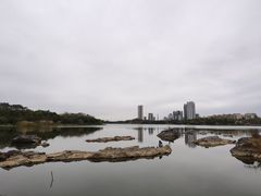 -飞来湖湿地公园