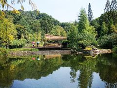 -云溪植物园