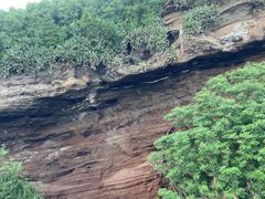 -涠洲岛火山国家地质公园