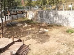 -泉州海丝野生动物世界