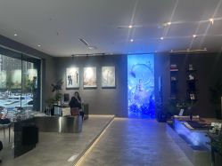 -十孕纪高端孕妇亲子摄影