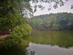 -韶山毛泽东同志故居