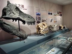 -自贡恐龙博物馆