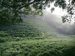 -法云古村
