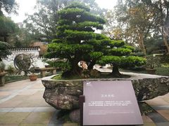 -南山植物园